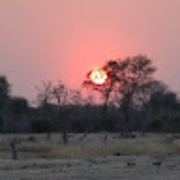 Meet your Posher, Sharon - Picture 1 of 1